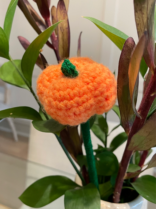 Crochet Pumpkin